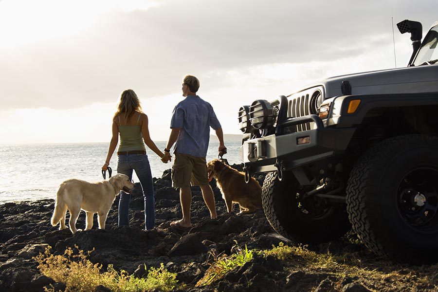 Client Center - Couple Park Their Jeep on a Rocky Beach by the Ocean To Walk Their Two Golden Retrievers